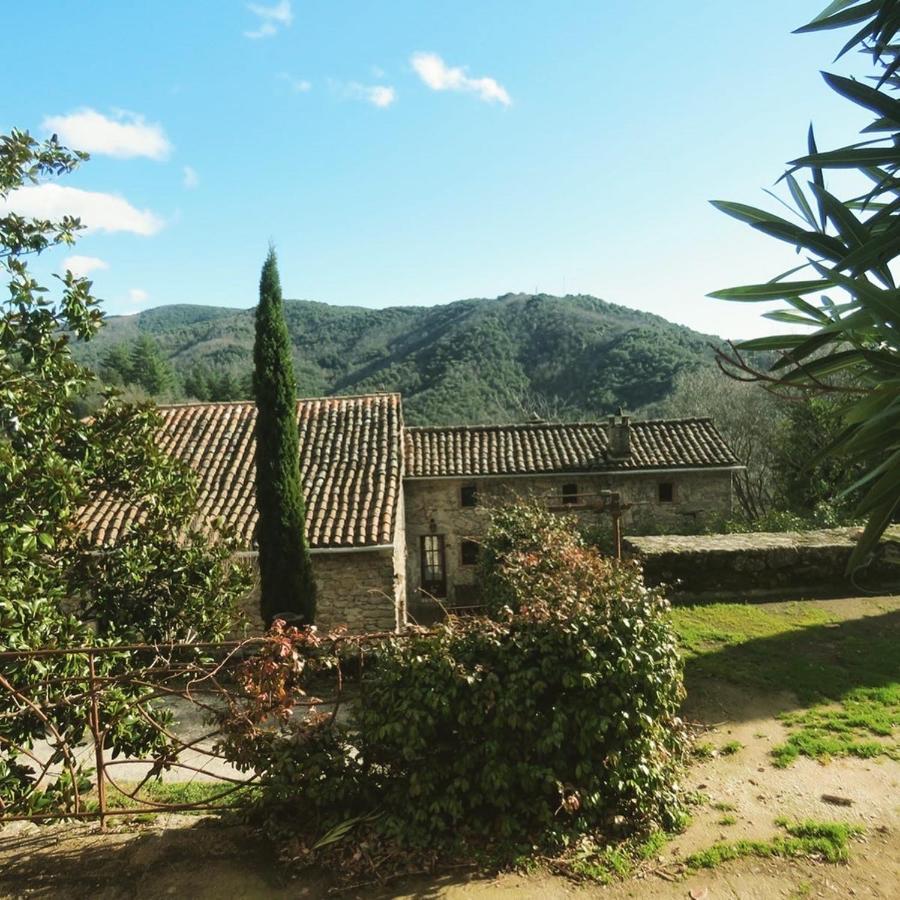 Villa Gite Pommier Au Chateau Des Pauses Saint-André-de-Majencoules Exterior foto